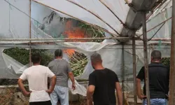 Antalya'da kargılık yangını! Çok sayıda ekip sevk edildi
