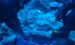Antalya'da fırtına nedeniyle batan gemiden çıkartıldı! 25'er kiloluk külçeler 3 bin 600 yıl sonra çıkartıldı