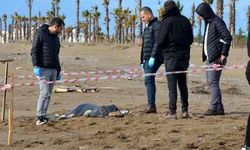 Antalya'da sahilde 2 ceset daha bulundu! Sahillerde bulunan ceset sayısı 8'e yükseldi!