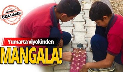 Siirtli öğrenciler yumurta viyolünden mangala yaptı