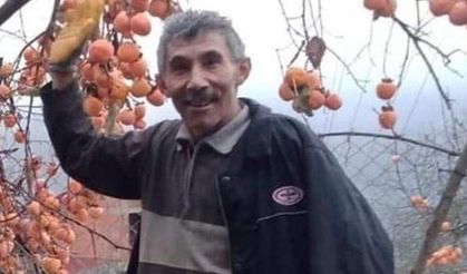 Zonguldak'ta kestiği ağacın altında kalan Hayrullah Lülleci hayatını kaybetti
