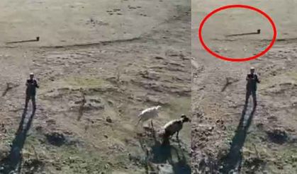 Tokat'ta çobanın dron ile imtihanı! Balta fırlattı