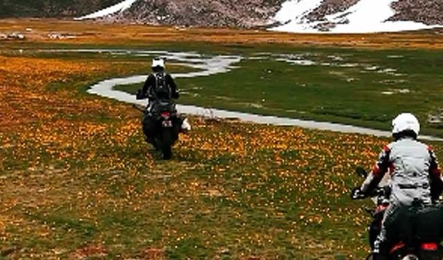 Endemik çiçekleri ezen motosikletli gruba tepki