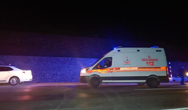 Bingöl'de yola çıkan ata otomobil çarptı: 1 ölü, 5 yaralı