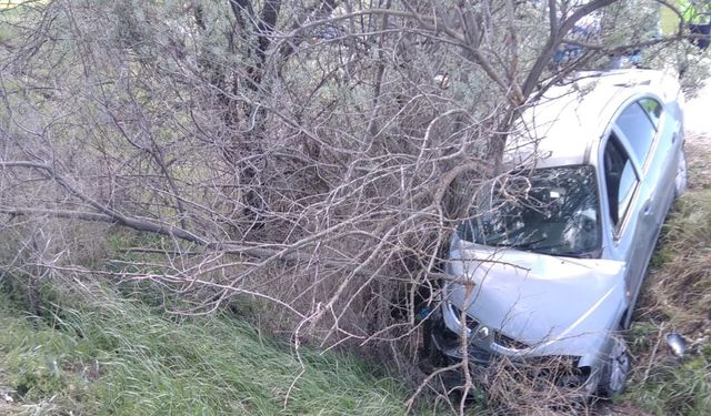 Çorum'da otomobil, ağaca çarptı: 1 ölü, 1 yaralı