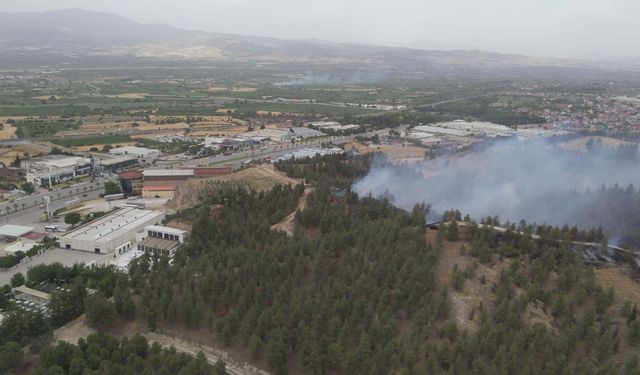 DENİZLİ'de orman yangını (VİDEO EKLENDİ)