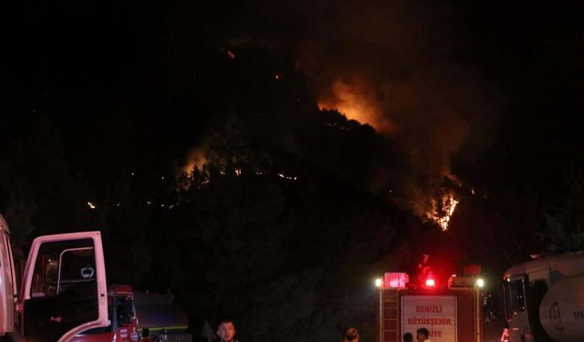 Denizli'deki orman yangını 2'nci günde kontrol altına alındı