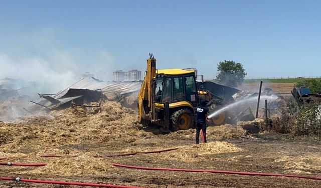 Tekirdağ'da 180 dönüm ekili buğday yandı; 3 kişi dumandan etkilendi (2)