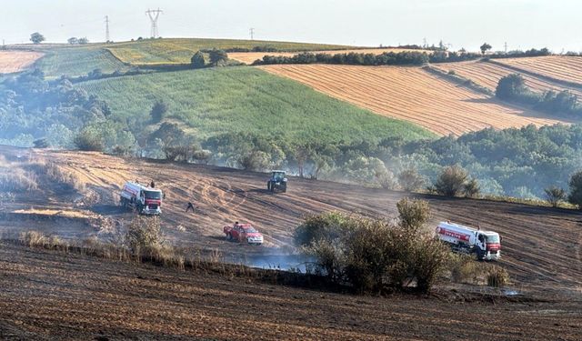 Tekirdağ'da anız yangınında 100 dönüm tarım alanı zarar gördü