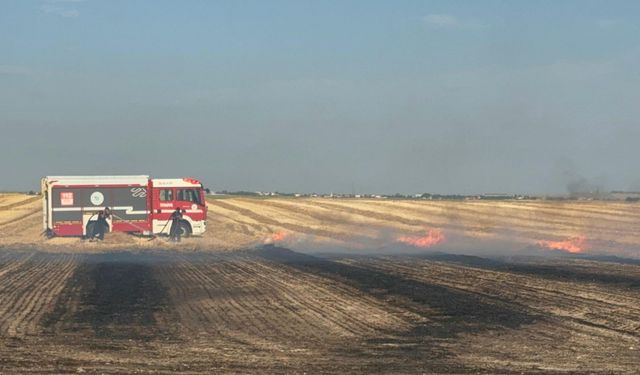 Tekirdağ'da iki ayrı anız yangınında 500 dönüm tarım alanı zarar gördü (2)