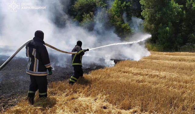 Ukrayna’da 24 saatte 343 orman ve çalı yangını çıktı