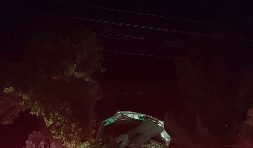 Otomobil, ağaca çarptı; sürücü ile arkadaşı öldü
