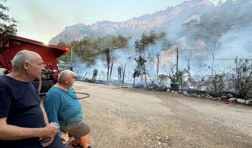 Olimpos'taki ünlü ağaç evler ikinci kez tamamen yandı. İşte fotoğraflarla o yangın