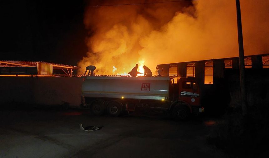 Adana'da palet fabrikasında yangın