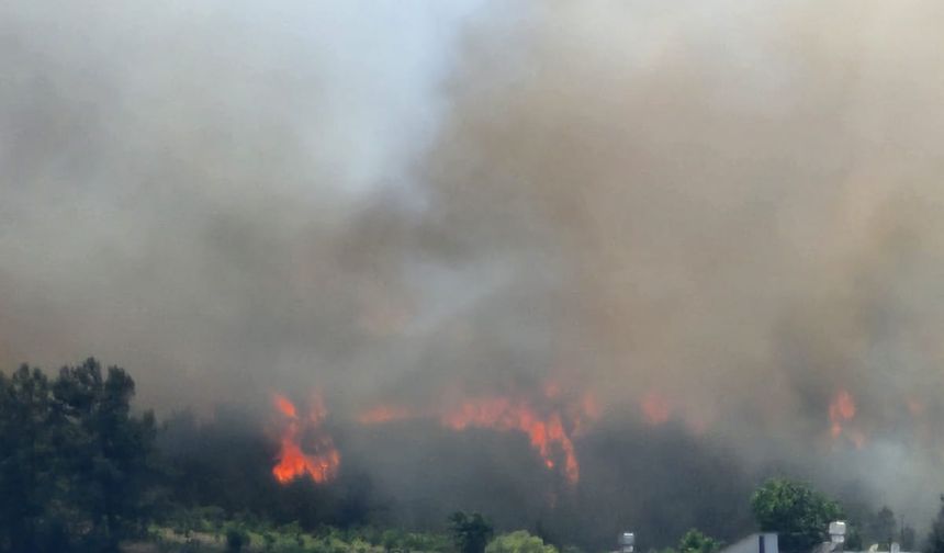 Hatay’da yerleşim yeri yakınında orman yangını
