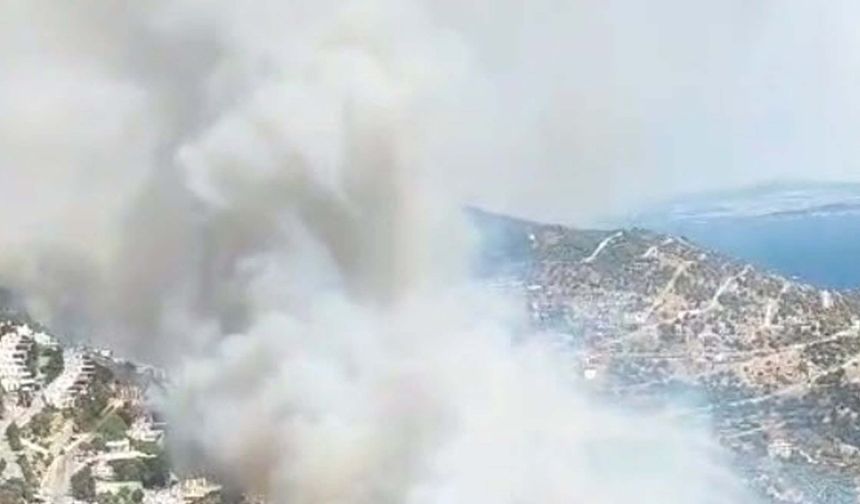 İzmir'de orman yangını/ Ek Fotoğraflar