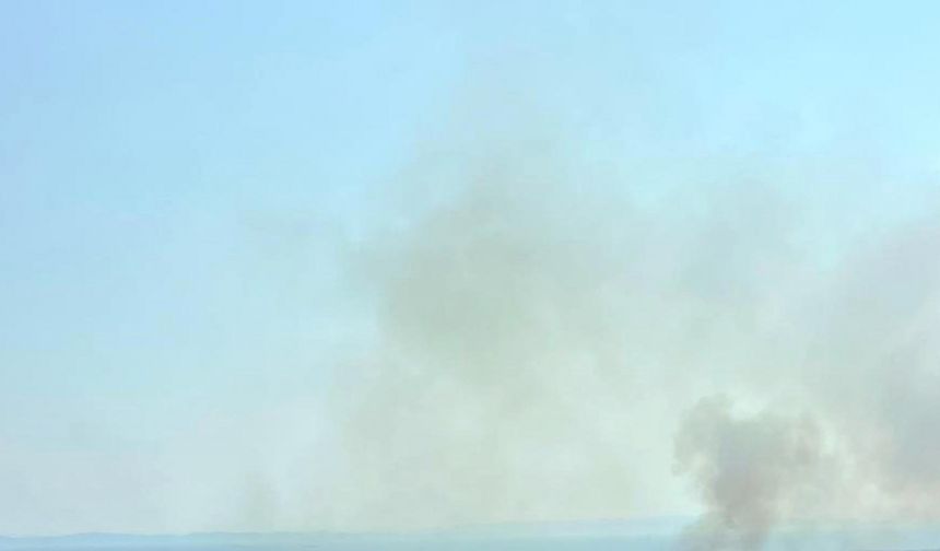Şarköy'de yangın; 35 dönüm zeytinlik ile 600 dönüm tarım alanı zarar gördü / Ek fotoğraflar