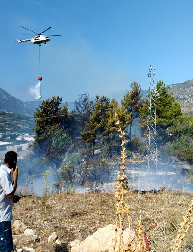 Antalya'da Orman Yangını Kontrol Altına Alındı3